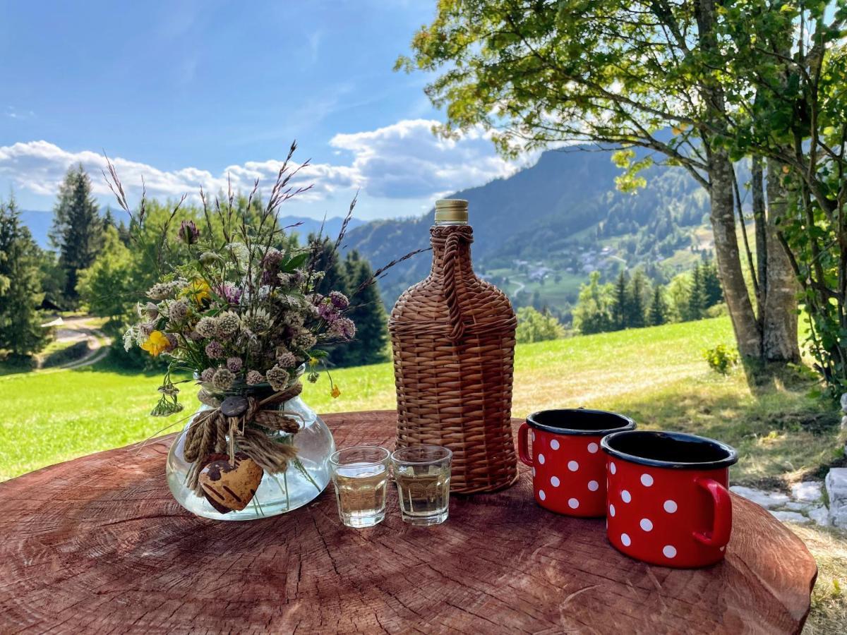 Chalet Hike&Bike Above Bohinj Valley Exterior photo